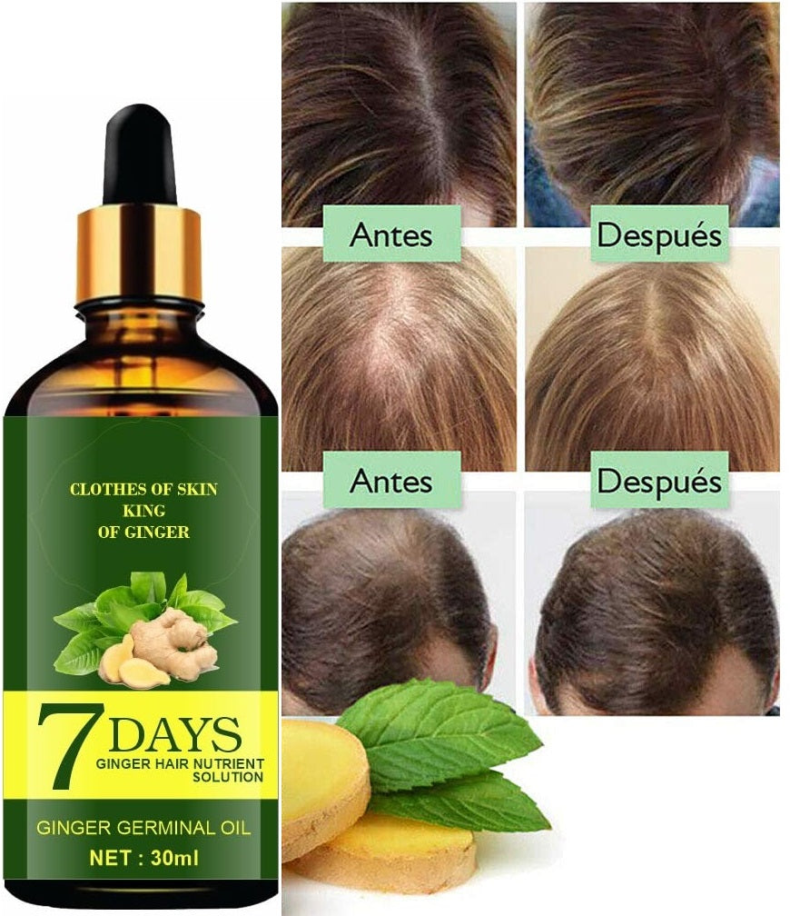 Ginger & Chamomile Hair Oil  ( Pack Of 2 )